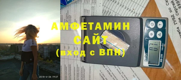 индика Алексин