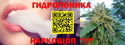 шишки Усть-Илимск