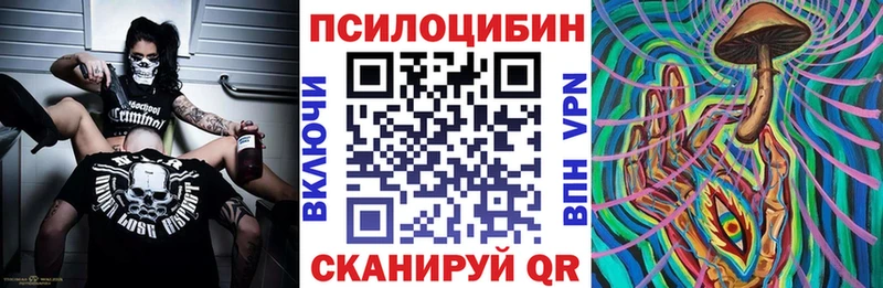 купить наркотики сайты  Новоуральск  Псилоцибиновые грибы ЛСД 